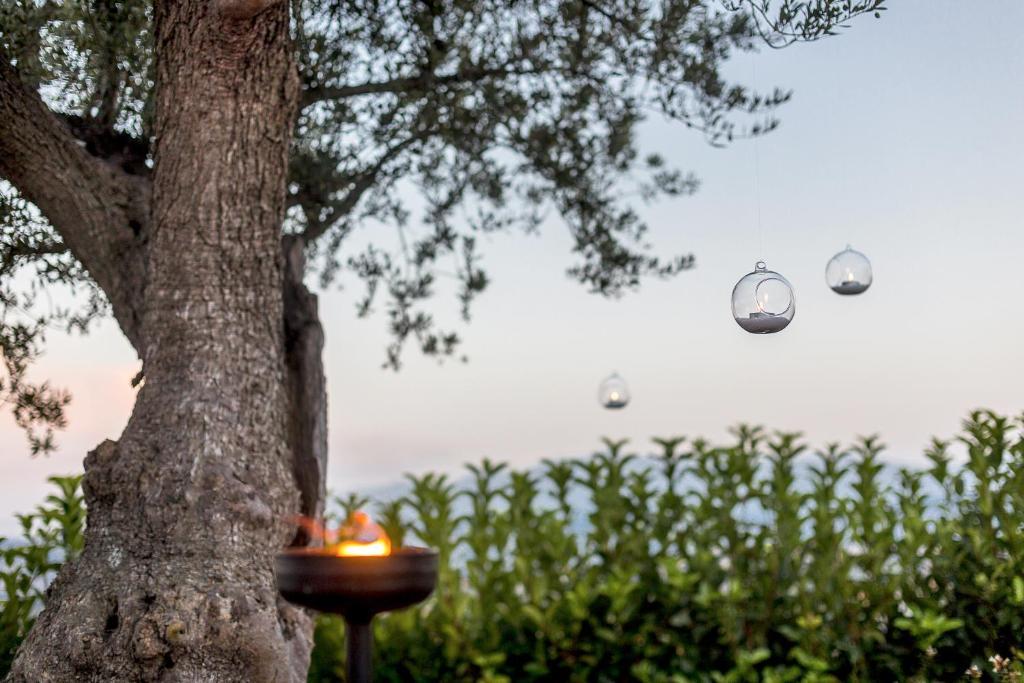 Casale Santa Maria Country House Mosciano SantʼAngelo Exterior foto